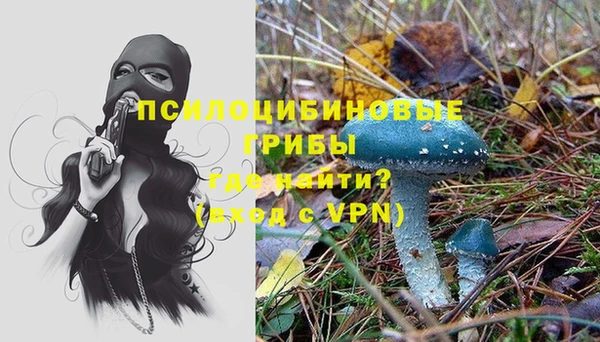 каннабис Алзамай